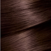 Garnier Color Naturals Saç Boyası 4.15 Büyüleyici Kahve 