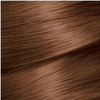 Garnier Color Naturals Saç Boyası 6.34 Altın Çikolata 