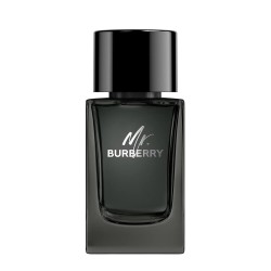Burberry - Burberry Mr. Burberry Erkek Parfüm Edp 100 Ml
