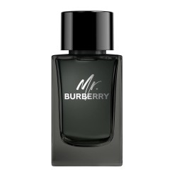 Burberry - Burberry Mr. Burberry Erkek Parfüm Edp 150 Ml