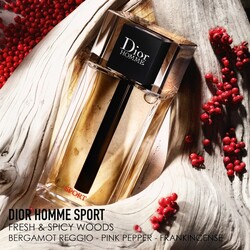 Dior Homme Sport Erkek Parfüm Edt 200 Ml - Thumbnail