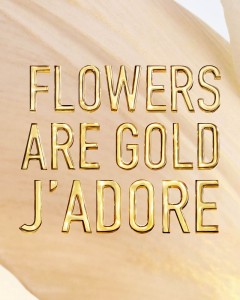 Dior Jadore L'Or Essence De Parfum Spray 50 Ml - 4