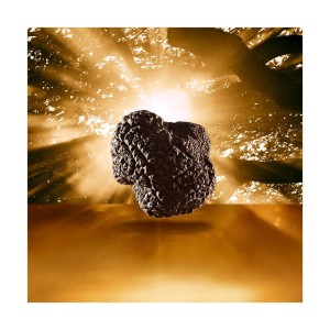 Estee Lauder Re-Nutriv Ultimate Diamond Sculpted Transformation 50 Ml - 3