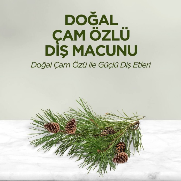 Eyüp Sabri Tuncer Çam Özlü Diş Macunu 90 Ml - 2