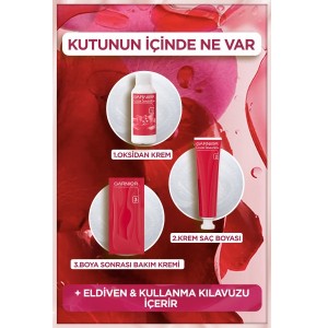 Garnier Çarpıcı Renkler Saç Boyası 4.15 Buzlu Kestane - 2