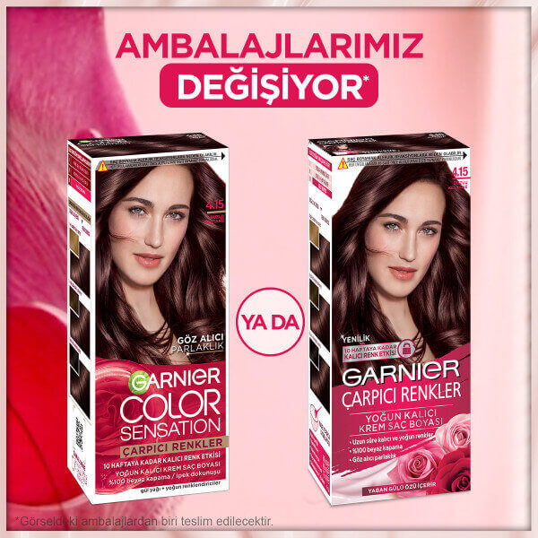 Garnier Çarpıcı Renkler Saç Boyası 4.15 Buzlu Kestane - 4