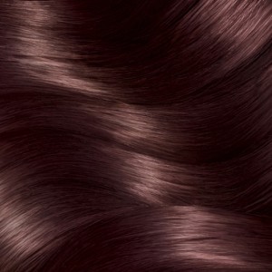 Garnier Çarpıcı Renkler Saç Boyası 4.15 Buzlu Kestane - 5