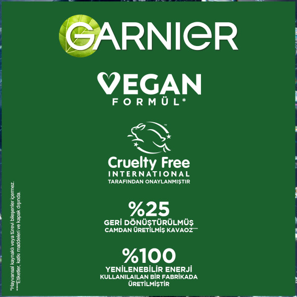 Garnier Saf ve Temiz Kömür Matlaştırıcı Günlük Nemlendirici Krem 50 Ml - 11