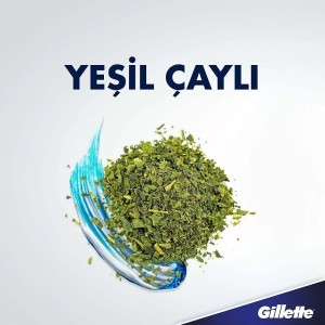 Gillette Series Canlandırıcı Tıraş Jeli 200 Ml - 4