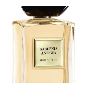 Giorgio Armani Prive Gardenia Antigua Unisex Parfüm Edt 100 Ml - 3