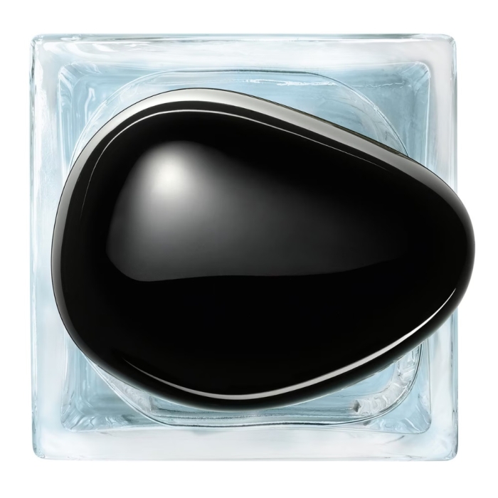 Giorgio Armani Prive Vetiver Unisex Parfüm Edt 100 Ml - 5