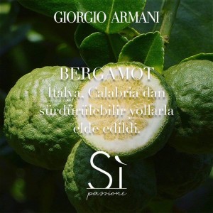 Giorgio Armani Si Passione Eclat Kadın Parfüm Edp 100 Ml - 6