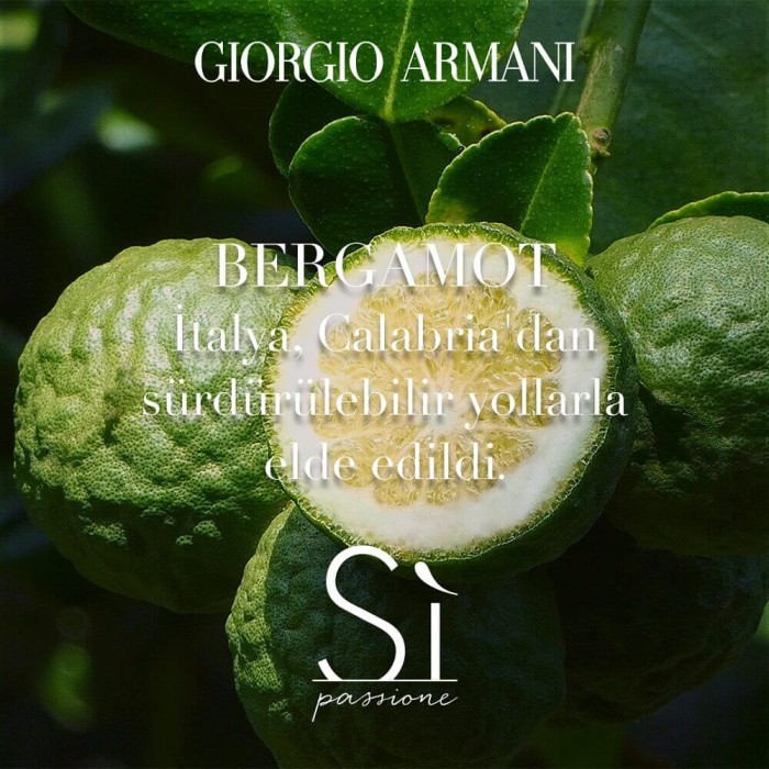 Giorgio Armani Si Passione Eclat Kadın Parfüm Edp 50 Ml - 7