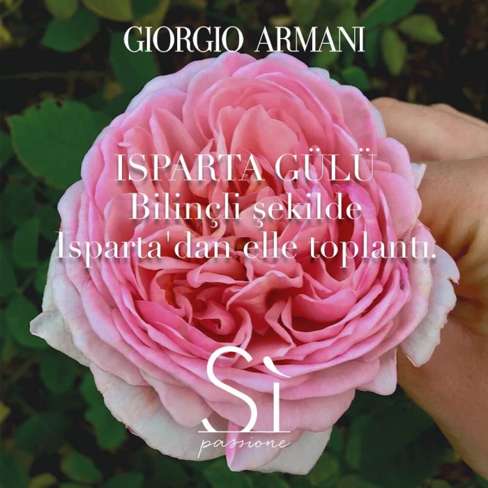 Giorgio Armani Si Passione Eclat Kadın Parfüm Edp 50 Ml - 8