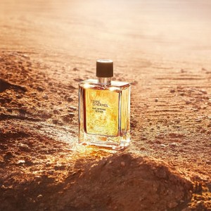 Hermes Terre D'Hermes Eau Intense Vetiver Erkek Parfüm Edp 200 Ml - 3