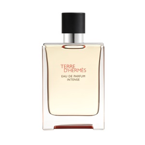 Hermes Terre D'Hermes Erkek Parfüm Edp Intense 100 Ml - Hermes