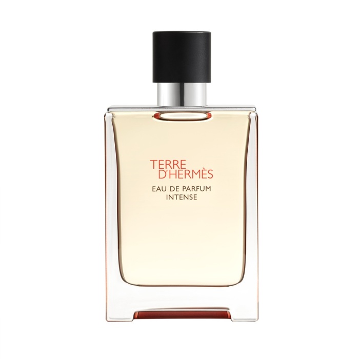 Hermes Terre D'Hermes Erkek Parfüm Edp Intense 100 Ml - 1