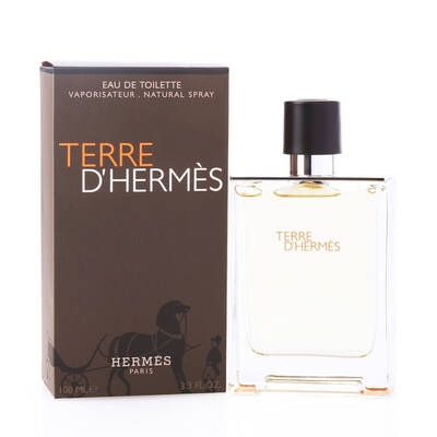 Hermes Terre D'Hermes Erkek Parfüm Edt 100 Ml - 2