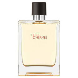 Hermes - Hermes Terre D'Hermes Erkek Parfüm Edt Refill 125 Ml