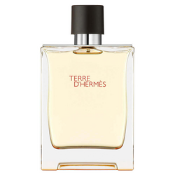 Hermes Terre D'Hermes Erkek Parfüm Edt Refill 125 Ml - Hermes
