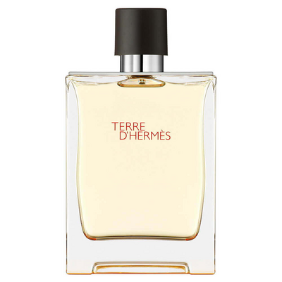 Hermes Terre D'Hermes Erkek Parfüm Edt Refill 125 Ml - 1
