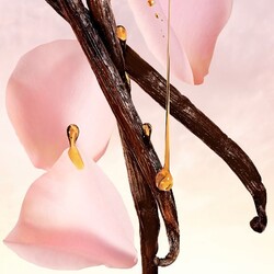 Lancome Idole Nectar Kadın Parfüm Edp 50 Ml - 6