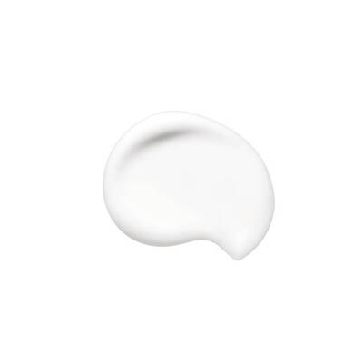 Shiseido Synchro Skin Blurring Primer - 2
