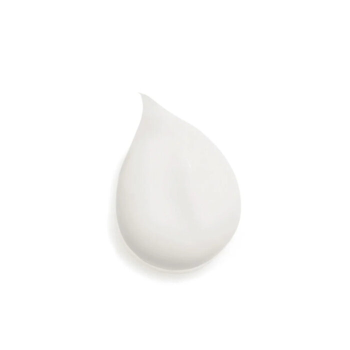 Sisley Hydra Global 40 Ml - 2