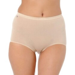 Triumph Sloggi Basic Maxi Külot Ten - Triumph